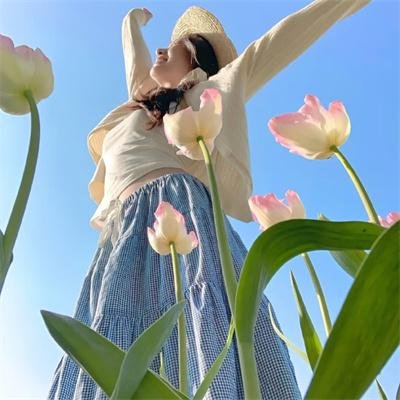 神秘森林